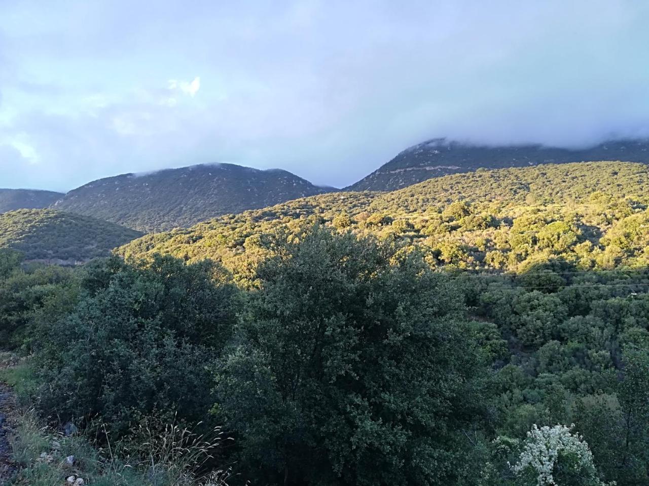 Elafos 3*